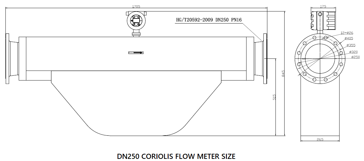 coriolis flow meter