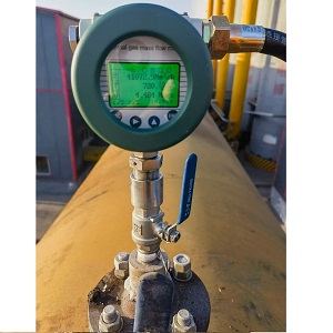 Biogas Flow Meters