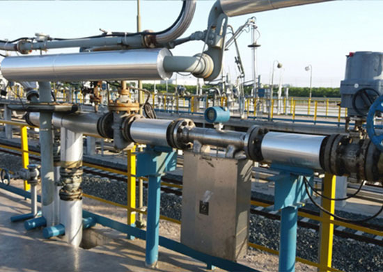 fuel coriolis flow meters