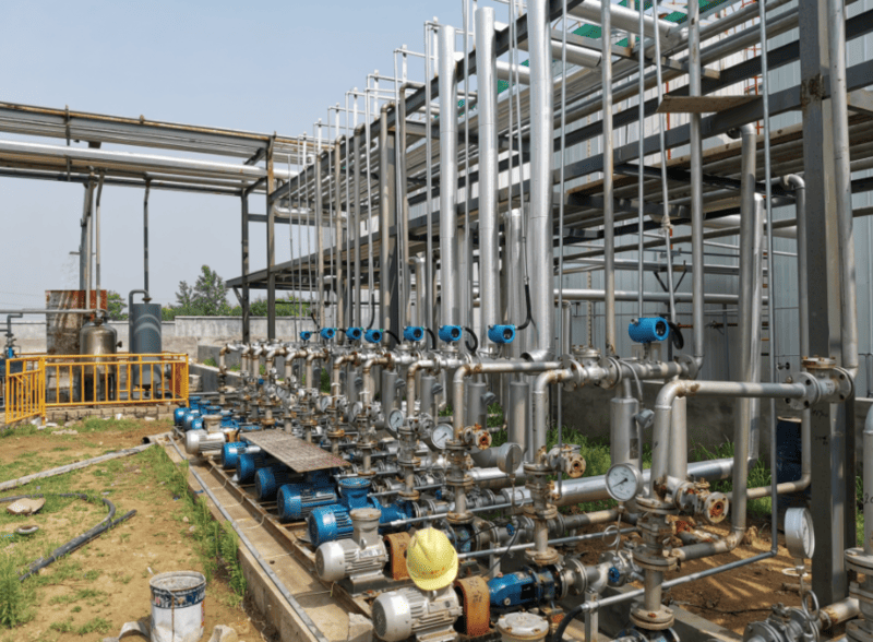 Coriolis mass flow meter for petrochemical industry