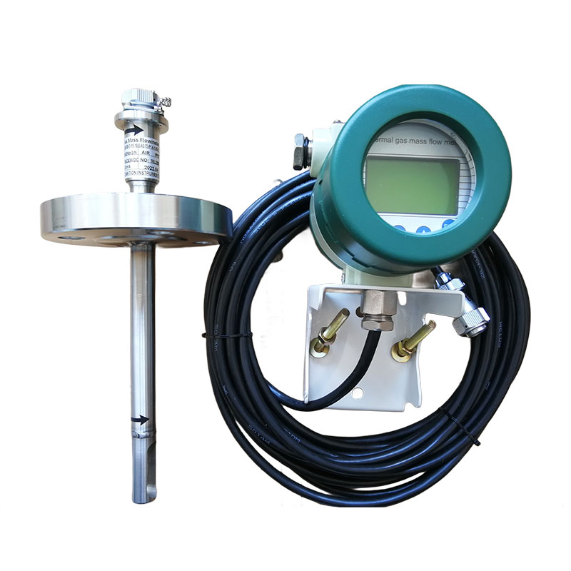 Remote display thermal mass flow meter